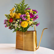 Modern Sprout Watering Cans Accessory