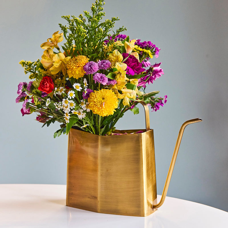 Modern Sprout Watering Cans Accessory
