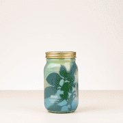 Modern Sprout Garden Jars - Organic Herbs Indoor Garden Kit