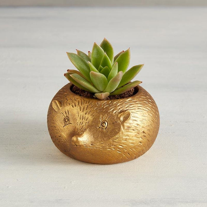 The Bullish Store - Mole Gold Metallic Mini Planter Pot