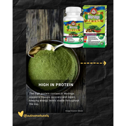 Adiva Naturals Moringa Daily Vitality Boost 60 Capsules STACK IT. SAVE MORE. STAY UP. Capsules Black