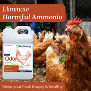 EcoStrong Chicken Coop Odor Eliminator Pet & Animal > Chicken Coop Odor