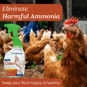 EcoStrong Chicken Coop Odor Eliminator Pet & Animal > Chicken Coop Odor