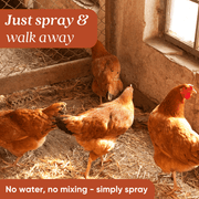EcoStrong Chicken Coop Odor Eliminator Pet & Animal > Chicken Coop Odor