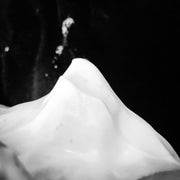 Murphy and McNeil Old Sport Shaving Soap - by Murphy and McNeil Shaving Soap