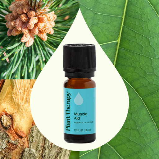 Plant Therapy Muscle Aid Essential Oil Blend Essential Oil