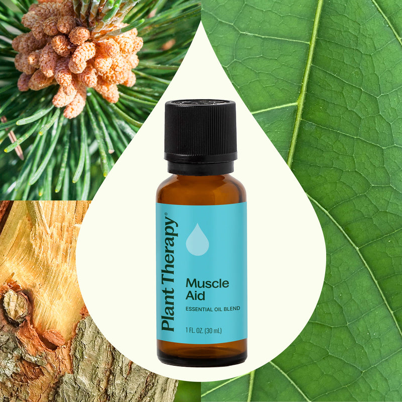 Plant Therapy Muscle Aid Essential Oil Blend Essential Oil