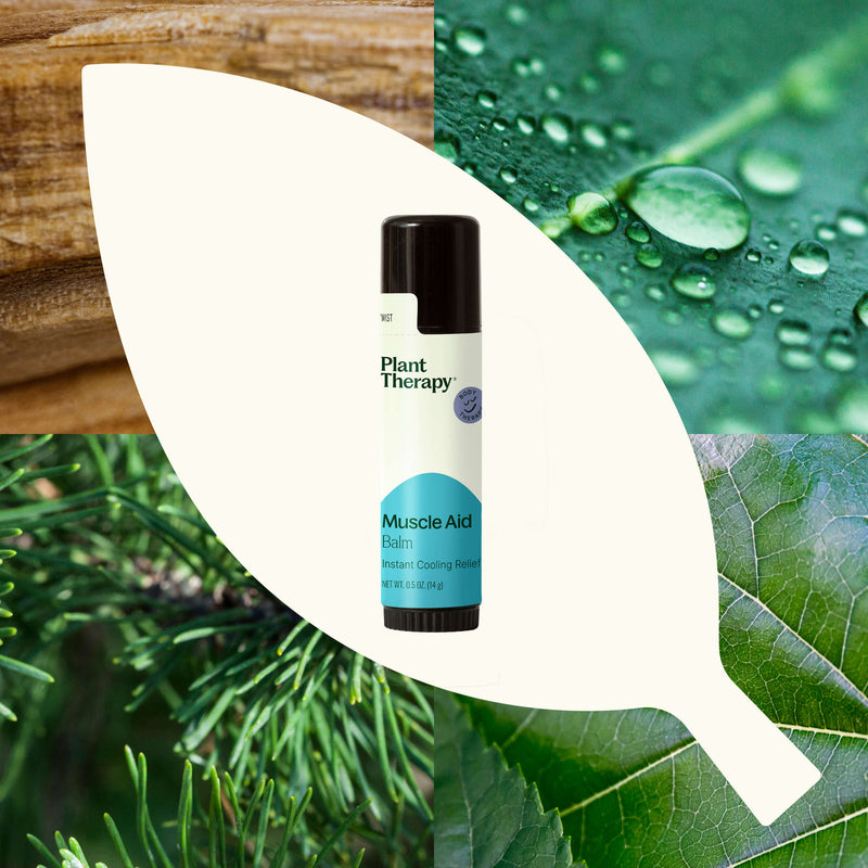 Plant Therapy Muscle Aid Balm Body Care