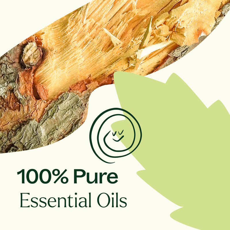 Plant Therapy Muscle Aid Essential Oil Blend Essential Oil
