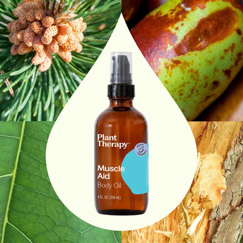 Plant Therapy Muscle Aid Body Oil Body Care