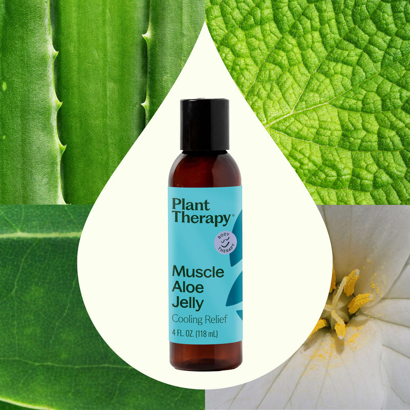 Plant Therapy Muscle Aloe Jelly Body Care