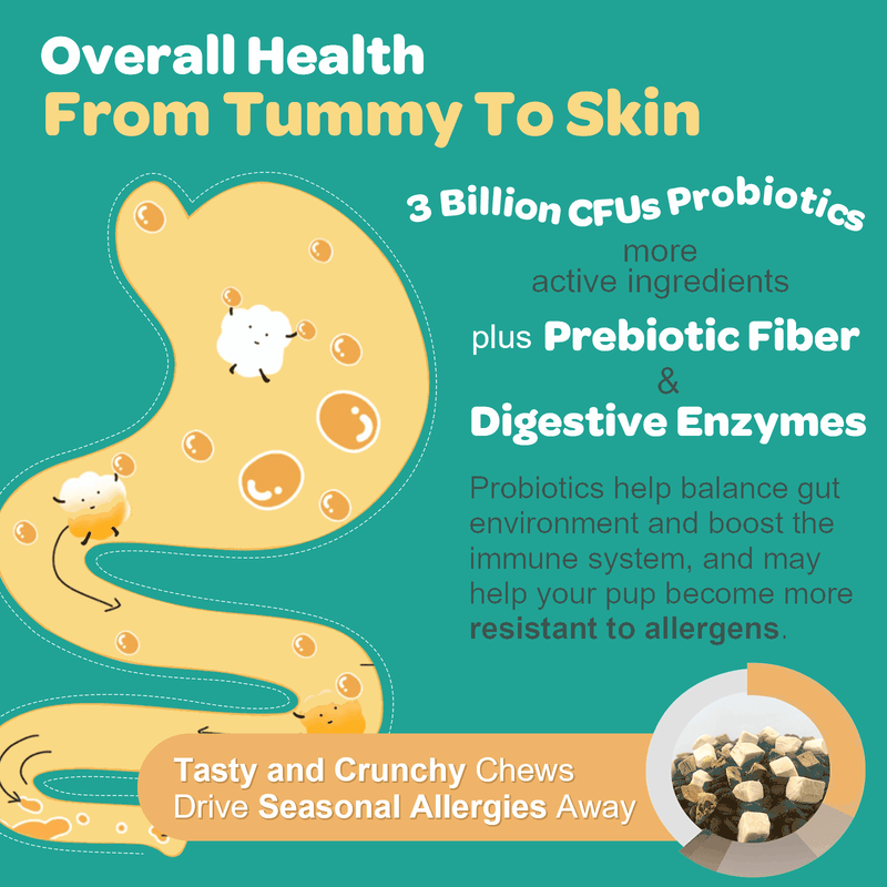 Nature Target Dogs & Cats Allergy Relief Chews, 3 Billion CFUs Pet Vitamins Supplements