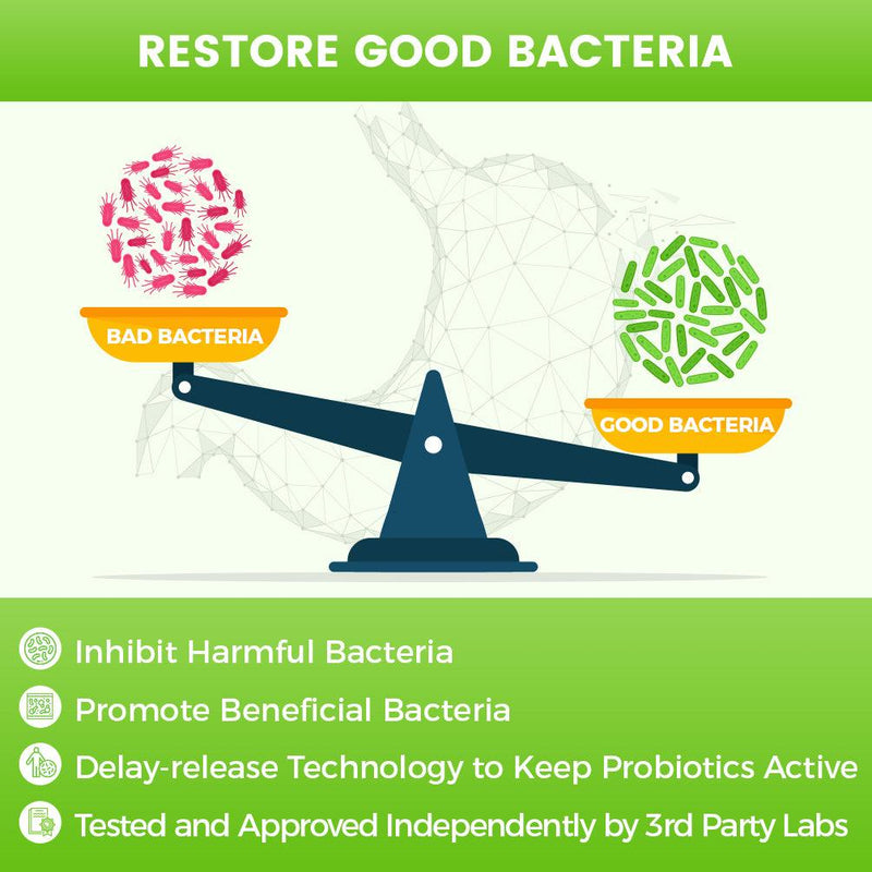 Nature Target Probiotics Powder for All Ages, 60 Billion CFUs, 30 Packets Probiotic