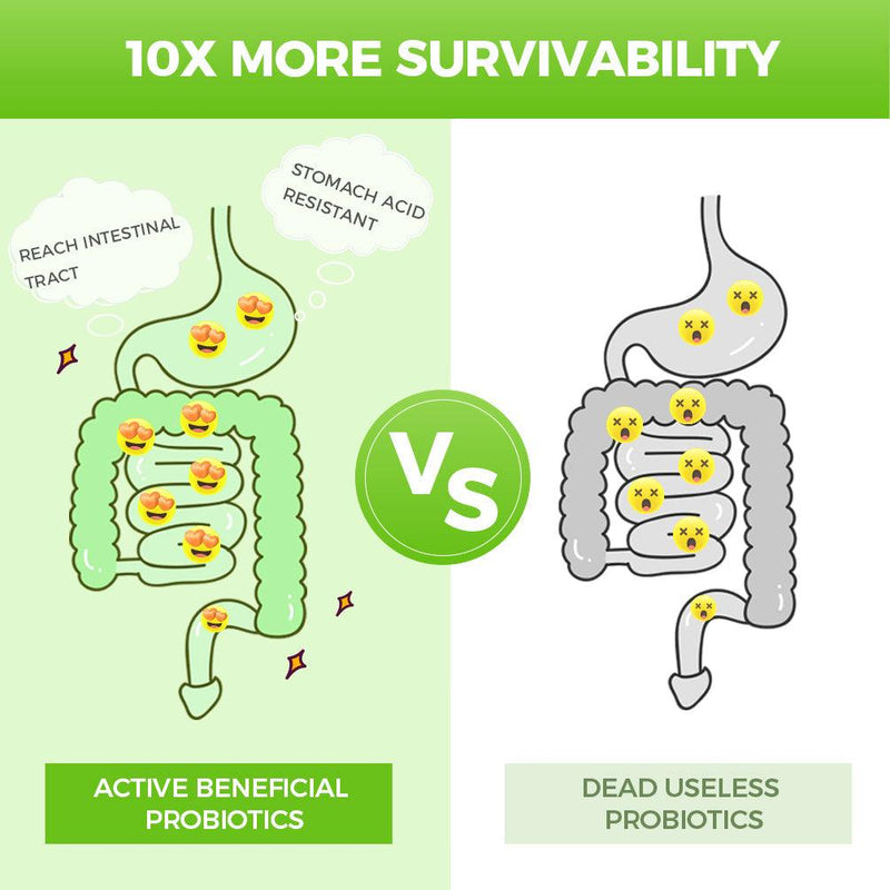 Nature Target Probiotics Powder for All Ages, 60 Billion CFUs, 30 Packets Probiotic