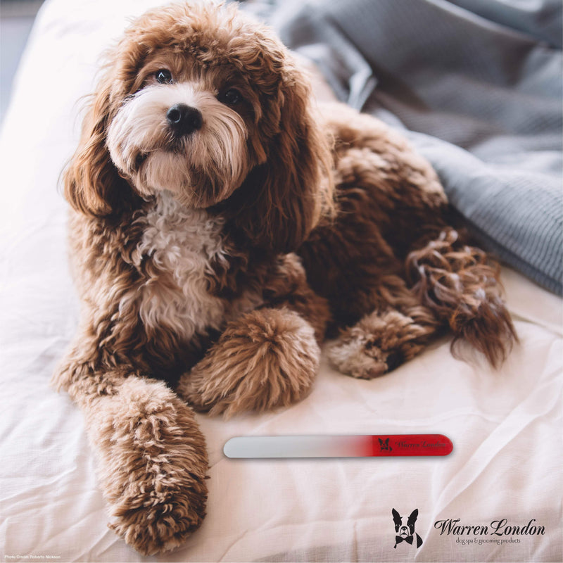 Warren London Glass Nail File for Dogs Spa Product