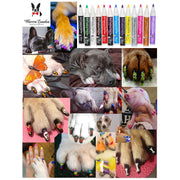 Warren London Pawdicure Polish Pens - 13 Pen Bundle Deals & Packages