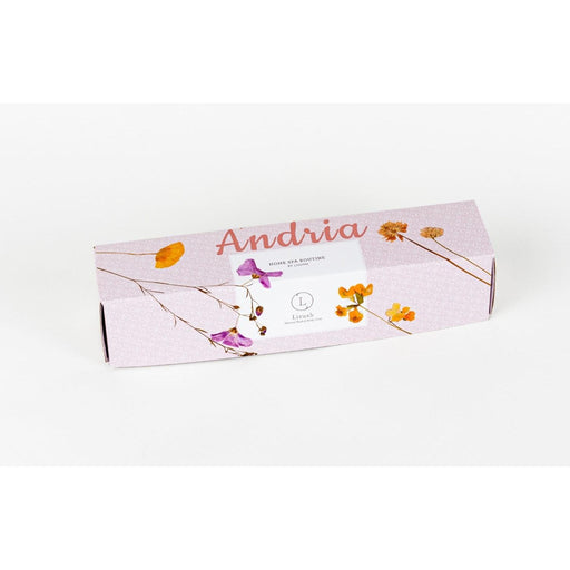 Lizush Mixed scents Shower Steamers Gift Set - 5 Big Fizzies, Cheer Up Package Unisex gift set