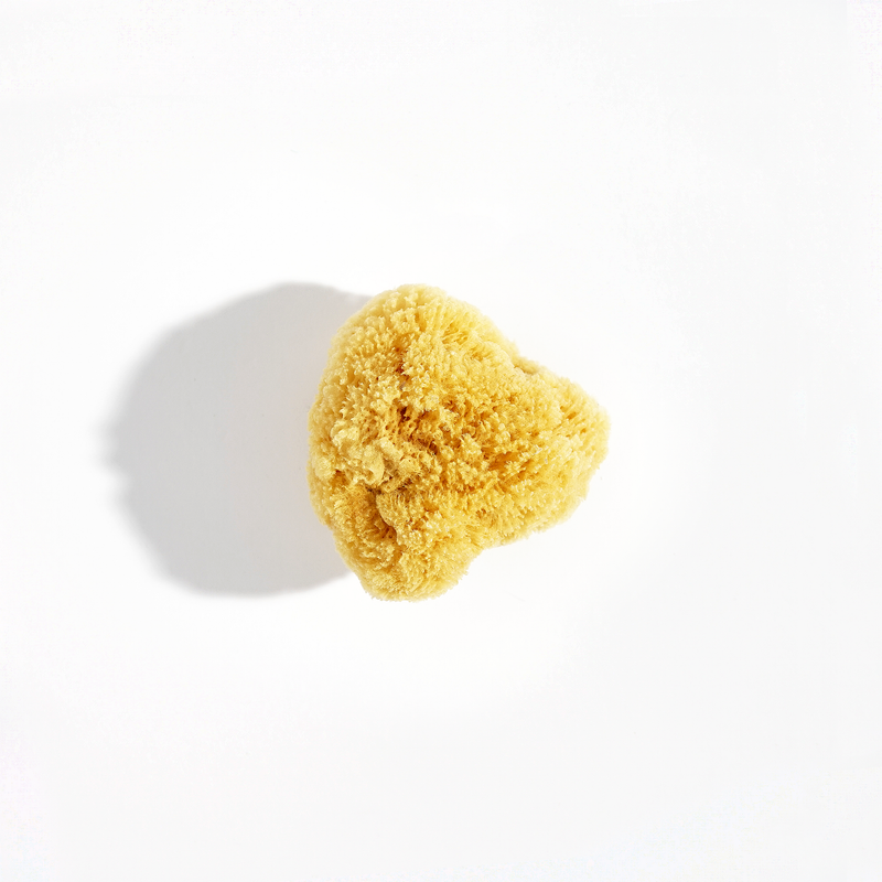 Shore Soap Co. Natural Sea Sponge Accessories