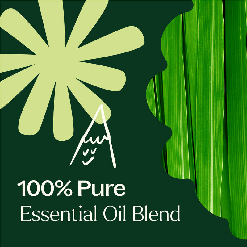 Plant Therapy Nature Shield Essential Oil Blend Essential Oil