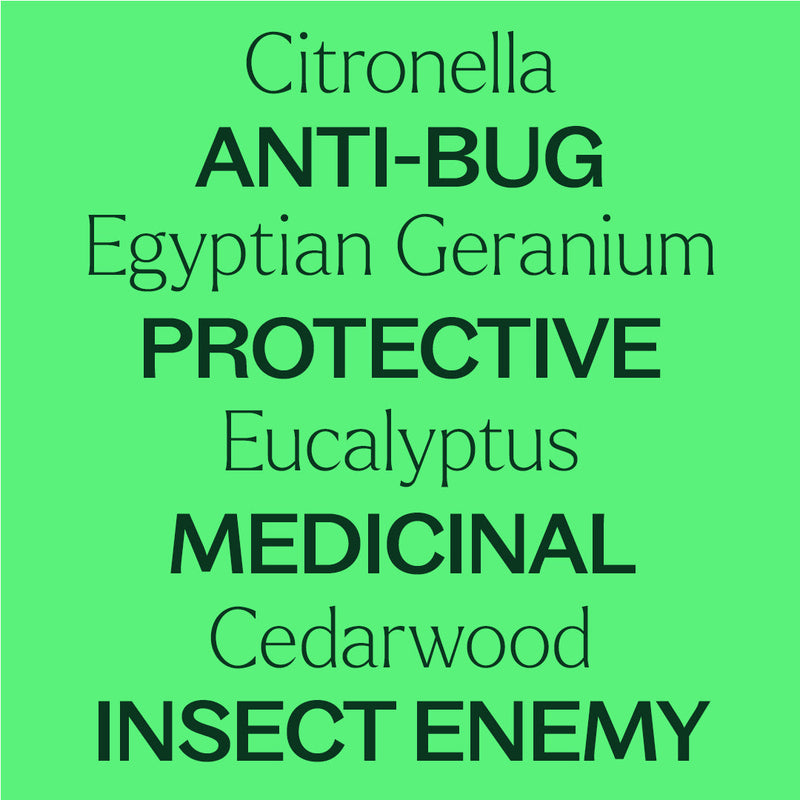 Plant Therapy Nature Shield Essential Oil Blend Essential Oil