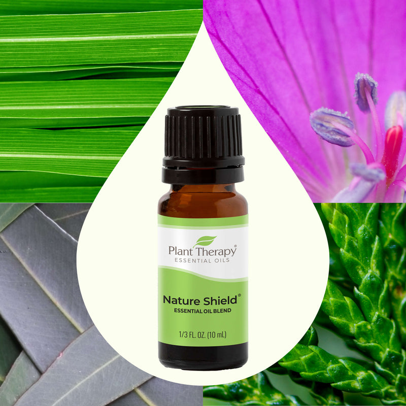 Plant Therapy Nature Shield Essential Oil Blend Essential Oil