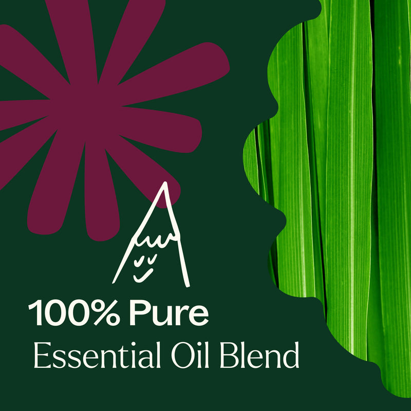 Plant Therapy Nature Shield Essential Oil Blend Essential Oil