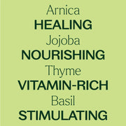 Plant Therapy Nerve Body Oil with Arnica Body Care