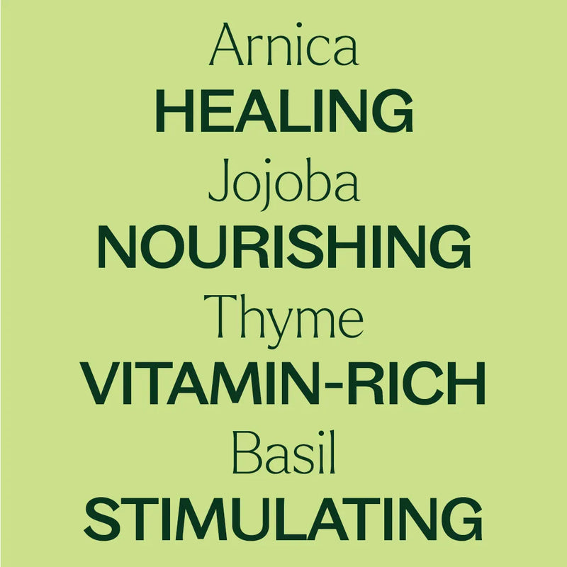 Plant Therapy Nerve Body Oil with Arnica Body Care