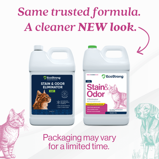 EcoStrong Cat Stain and Odor Eliminator Pet & Animal > Cat Stain & Odor