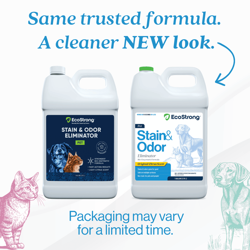 EcoStrong Pet Stain and Odor Eliminator Pet & Animal > Pet Stain & Odor