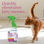 EcoStrong Cat Stain and Odor Eliminator Pet & Animal > Cat Stain & Odor