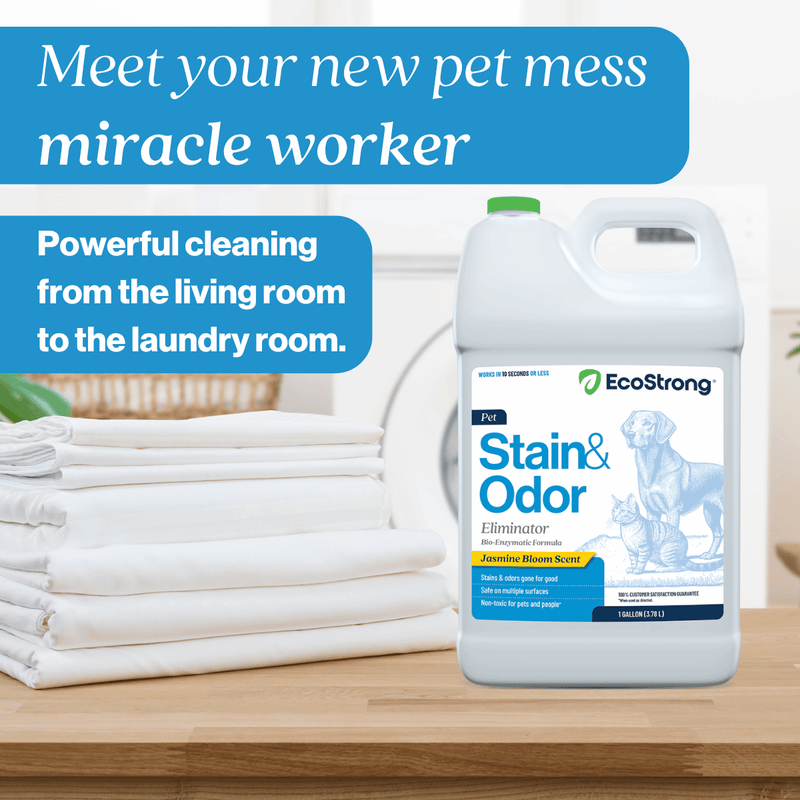 EcoStrong Pet Stain and Odor Eliminator Pet & Animal > Pet Stain & Odor