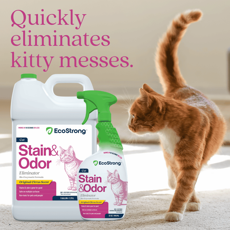 EcoStrong Cat Stain and Odor Eliminator Pet & Animal > Cat Stain & Odor