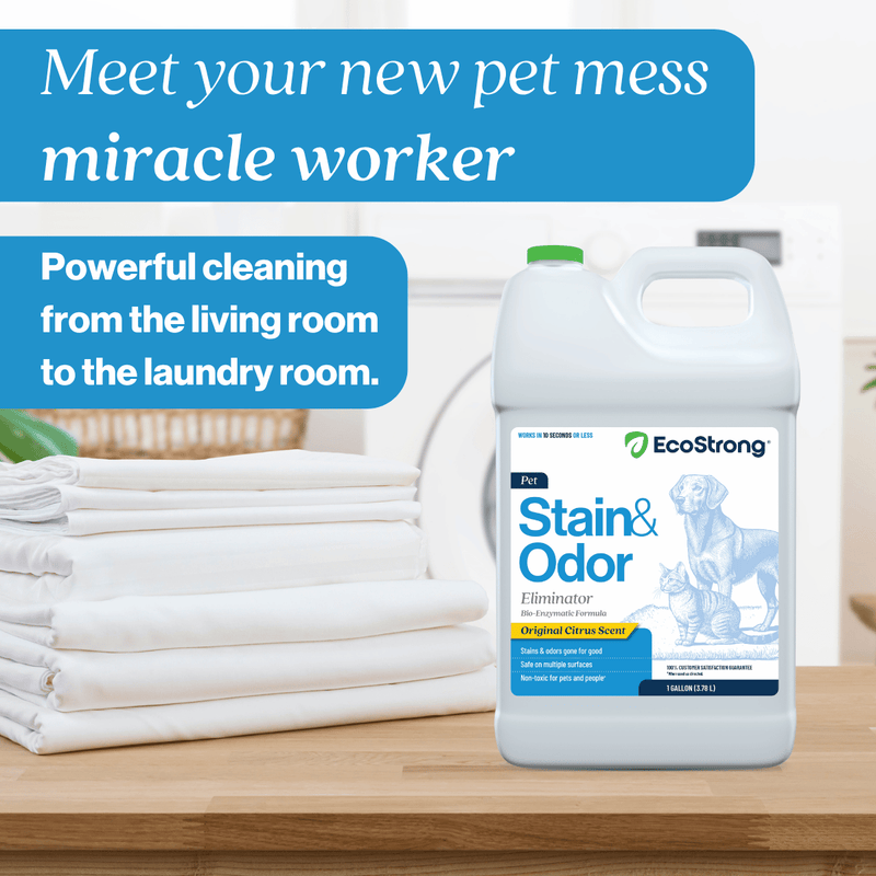 EcoStrong Pet Stain and Odor Eliminator Pet & Animal > Pet Stain & Odor