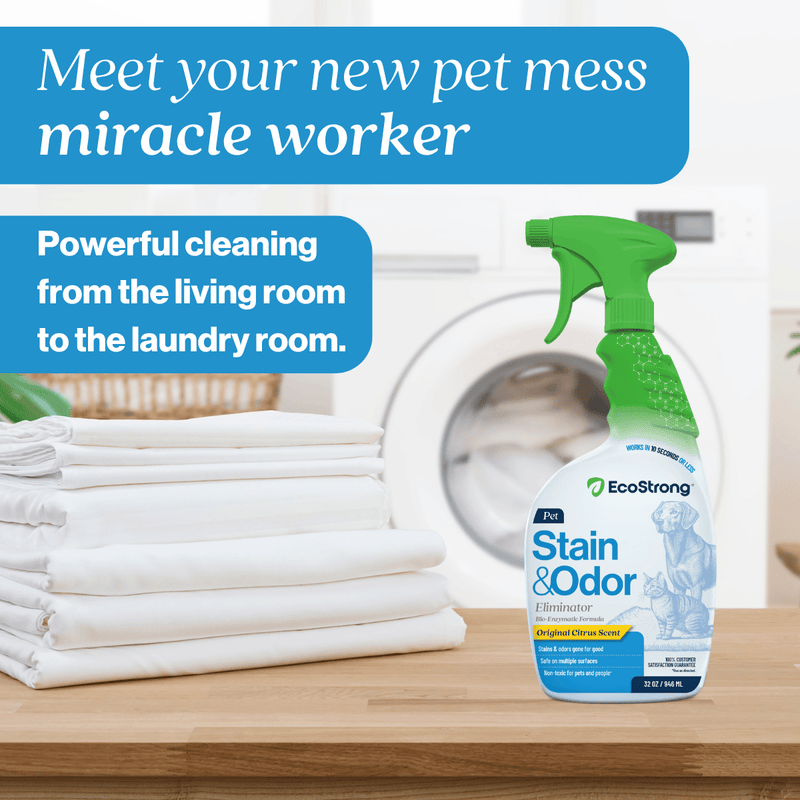 EcoStrong Pet Stain and Odor Eliminator Pet & Animal > Pet Stain & Odor