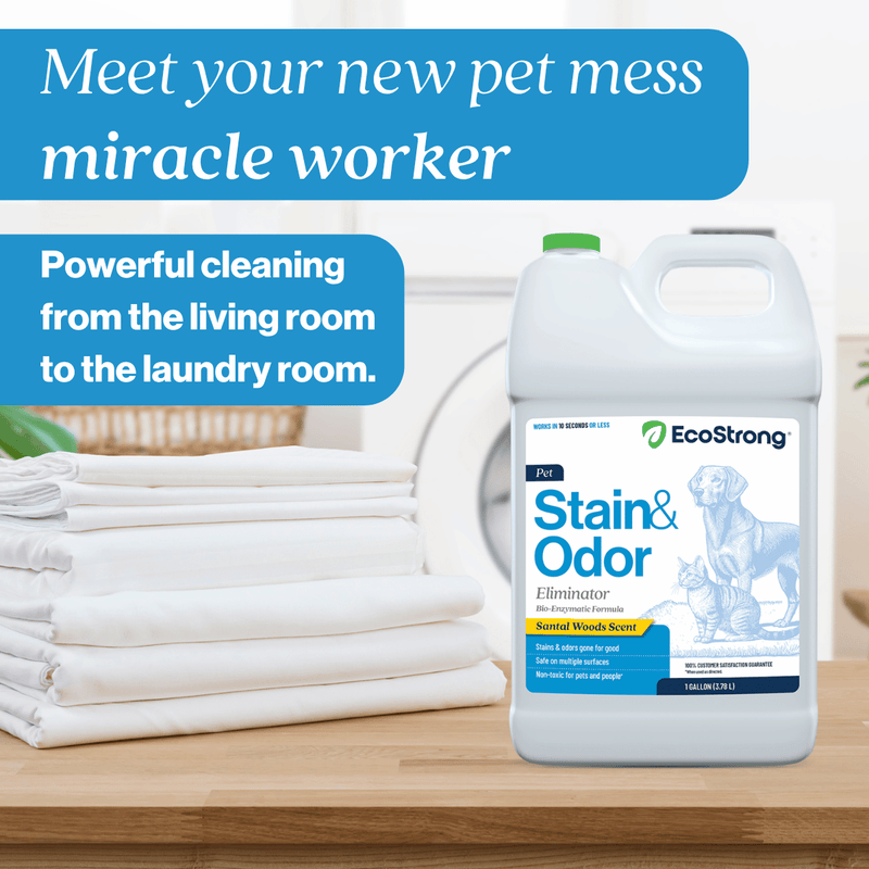 EcoStrong Pet Stain and Odor Eliminator Pet & Animal > Pet Stain & Odor