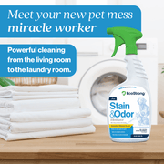 EcoStrong Pet Stain and Odor Eliminator Pet & Animal > Pet Stain & Odor