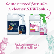 EcoStrong Cat Stain and Odor Eliminator Pet & Animal > Cat Stain & Odor