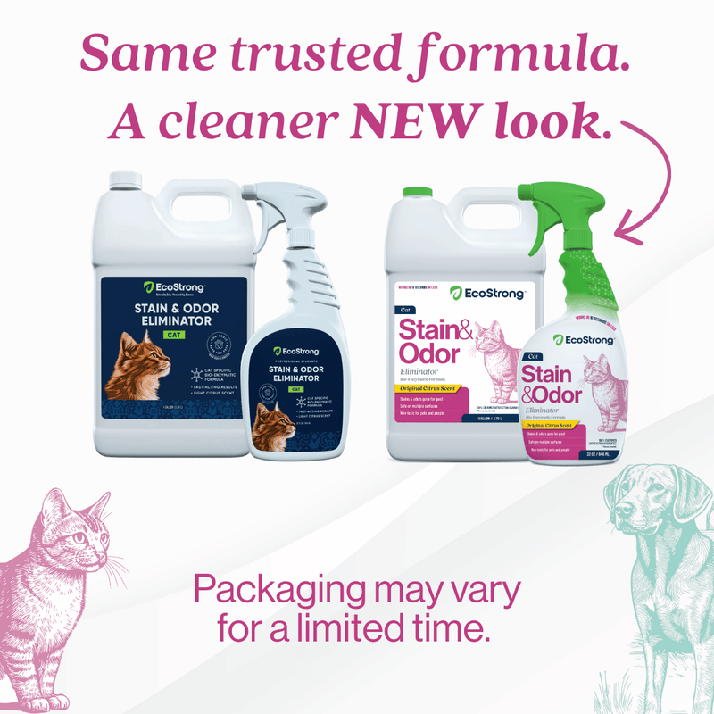 EcoStrong Cat Stain and Odor Eliminator Pet & Animal > Cat Stain & Odor