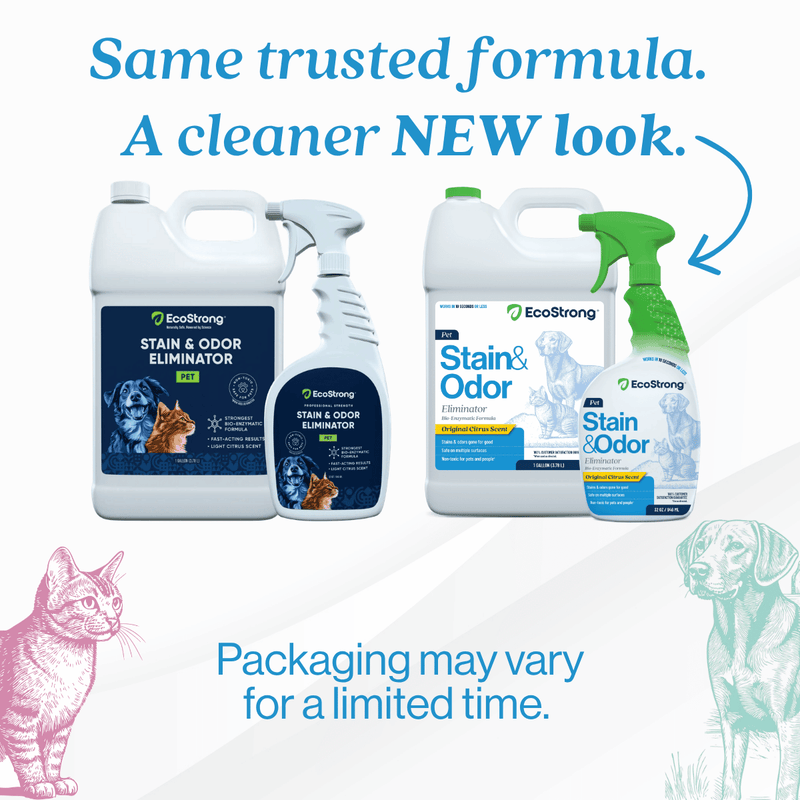 EcoStrong Pet Stain and Odor Eliminator Pet & Animal > Pet Stain & Odor
