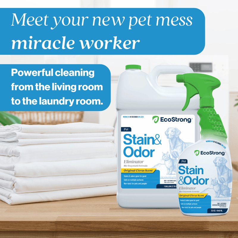 EcoStrong Pet Stain and Odor Eliminator Pet & Animal > Pet Stain & Odor