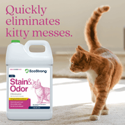 EcoStrong Cat Stain and Odor Eliminator Pet & Animal > Cat Stain & Odor