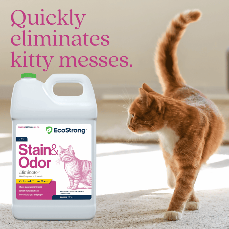 EcoStrong Cat Stain and Odor Eliminator Pet & Animal > Cat Stain & Odor