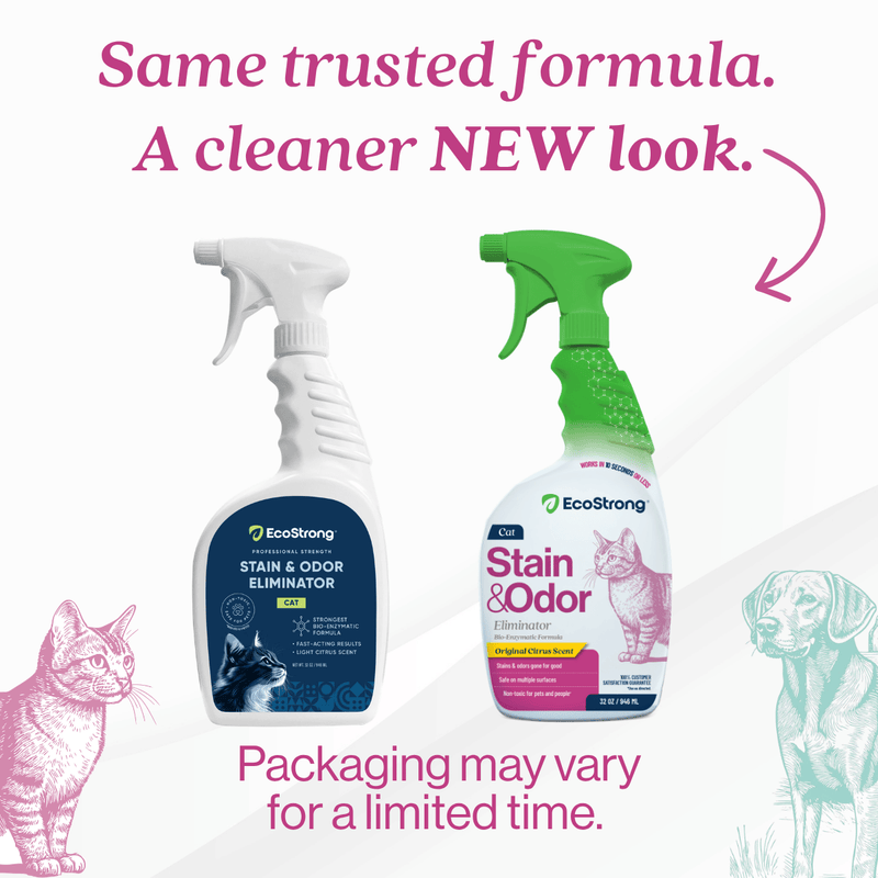 EcoStrong Cat Stain and Odor Eliminator Pet & Animal > Cat Stain & Odor