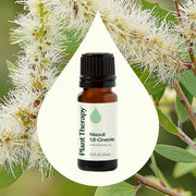 Plant Therapy Niaouli 1,8-Cineole Essential Oil Essential Oil