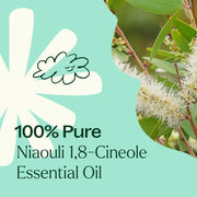 Plant Therapy Niaouli 1,8-Cineole Essential Oil Essential Oil