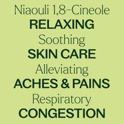 Plant Therapy Niaouli 1,8-Cineole Essential Oil Essential Oil
