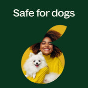 Plant Therapy Niaouli 1,8-Cineole Essential Oil Essential Oil