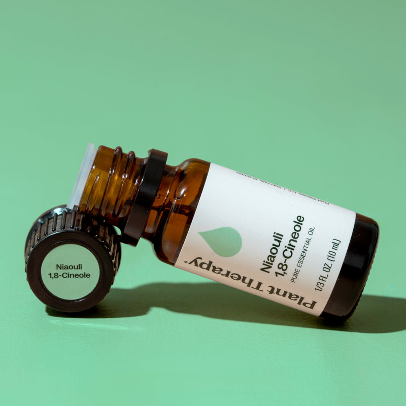 Plant Therapy Niaouli 1,8-Cineole Essential Oil Essential Oil