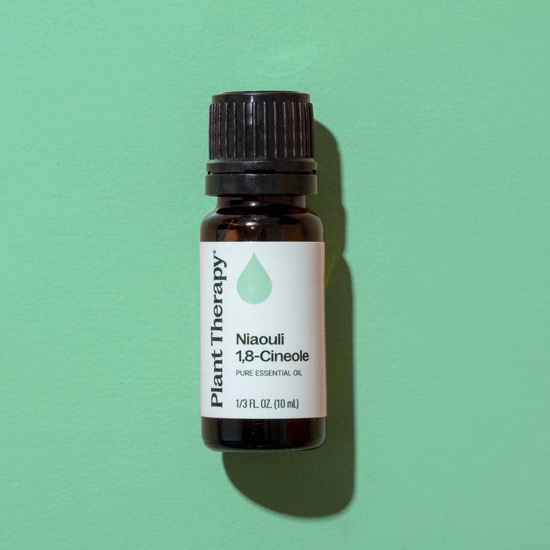 Plant Therapy Niaouli 1,8-Cineole Essential Oil Essential Oil